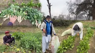 Bhai Mubarak Khush Ho Gaye🥰😍 | Azmat | Allhamdulilah New Sabzi Bhi Tayar Ho Gai😍😇
