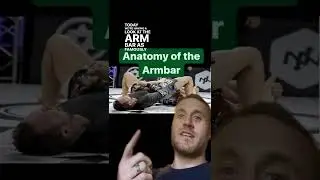 Anatomy of the Arm Bar | #shorts