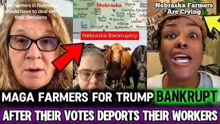 MAGA Farmers in TEARS & FREAKOUT After Voting for Deportations That BANKRUPT Their Farms
