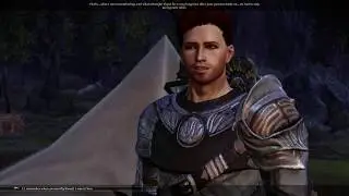 Dragon Age Origins Starting the romance with my version of Ser Gilmore