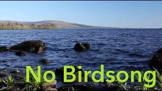 8 hours Nature Sounds for Sleeping - Relaxing Lapping Water W/O Birdsong -Sound of Gentle Lake Waves