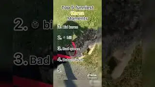 Top 5 funniest Karen moments #shorts