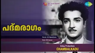 പദ്മരാഗം | Chambalkadu | Jency Songs | Seema | Balan K Nair | Prem Nazir