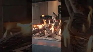 Showroomtour: Design-Kamine & Outdoor-Feuer erleben 🔥 | HOKAR