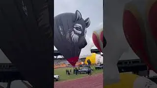 Breathing in freedom at New Clark City. #skyshow #balloon #festival #capastarlac