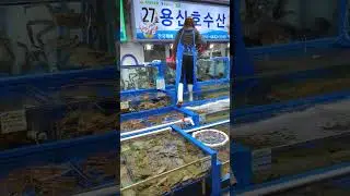 Seafood from the fish market in korea