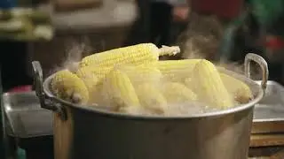 Boiling Corn footage | Corn Stock Footage | non copyrighted footage | NCF