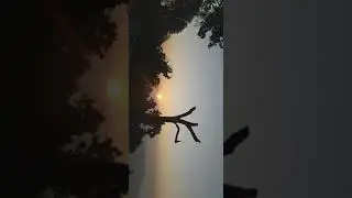 Sunset status video