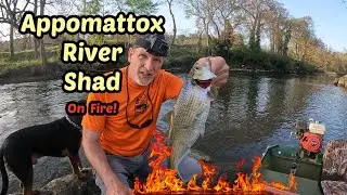 Appomattox River Shad Fishing on Fire