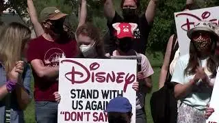Disney urged to oppose 'Don't Say Gay' bill