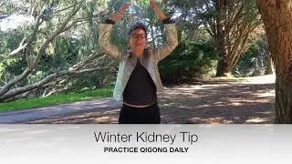 A Cup of Qi: Winter Tip for Kidneys practice