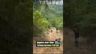 Kapolres Aceh Timur Terbang Bersama Trailnya