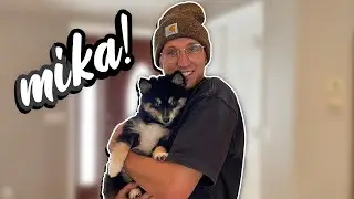 The Newest Member of Our Family!