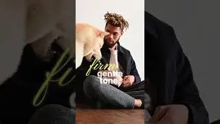 Train Your Cat Effectively