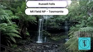 Russell Falls - Short Walk Mt Field NP - Tasmania #adventure #hiking #tasmania #nature