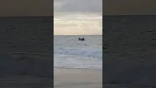 row boat fishing
