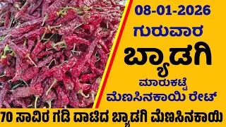 08-01-2026 Byadgi Market Mirchi Rate | chilli Rates  Byadgi Market Menasinakayi Rate #Byadgi Market