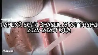 Танцуй если знаешь этот тренд 2025-2026 года #amystory2011 #потрендам #залетипж #тренды #врек #2026 