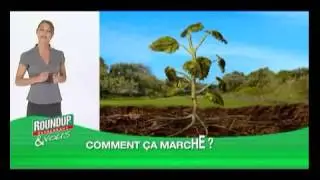 roundup comment agit  roundup