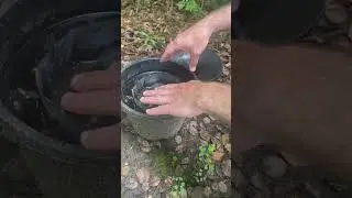In2care mosquito sabotage