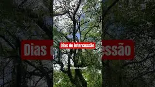 Dias de intercess&atilde;o