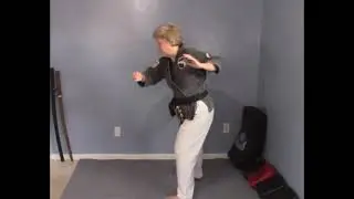 Tracy Kenpo Purple Belt Lesson 1