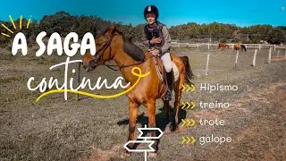 A SAGA CONTINUA... DIA DE TREINO - HIPISMO CLÁSSICO!