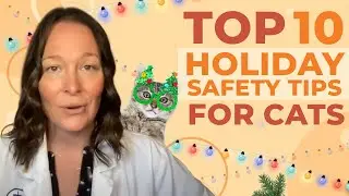 A Vet Shares Her Top 10 Cat Holiday Health and Safety Tips