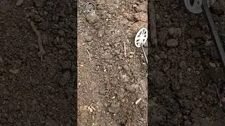 Metal Detecting Struggles: Modern Coins & The Yard's Allure! #metaldetecting #treasurehunting #coin