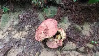 Chatsworth/Fort Mountain State Park, Georgia