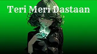 Teri Meri Dastaan - Romantic Song | the song well hindi #song #trending