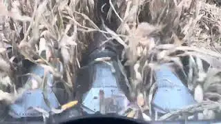 Gleaner F2 in 300 bushel corn