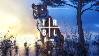 TORU - The Knight In The Panther's Skin