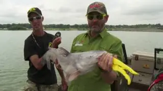 Milford Lake Blue Catfish in Kansas and G3 Sportsman 200
