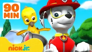 Paw Patrol | ¡PAW Patrol rescata animales bebés! 🐥🐒 | 90 Minutos | Nick Jr. en Español