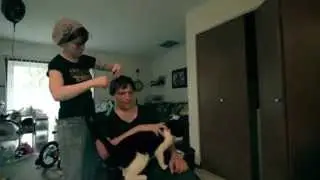 Hair Cut plus a cat.
