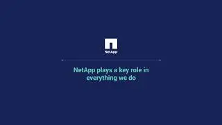 Highvail and Netapp