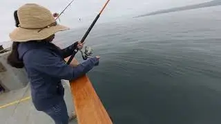 Epic Fishing Adventure Out of Dana Point, California | West Coast Reel Vibes 🎣🌊