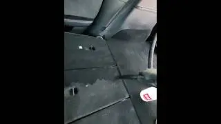 Tesla Pet Hair Removal #asmr #automobile #pov #detailing #carcare #tesla #cleaning