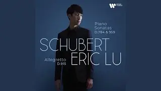 Piano Sonata No. 14 in A Minor, Op. posth. 143, D. 784 