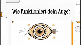 Funktionsweise des Auges | EINFACH ERKL&Auml;RT