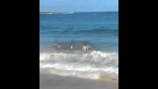 20131204_150256.mp4