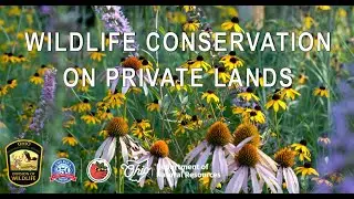 Ohio's Private Lands Habitat Conservation Programs
