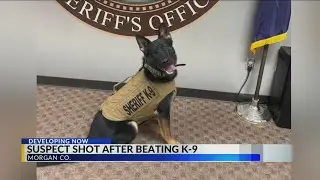 Morgan County deputies involved in shooting
