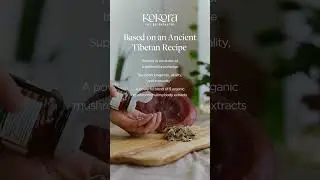 Synergy + 5 Mushroom Wellness&trade; | Kokora