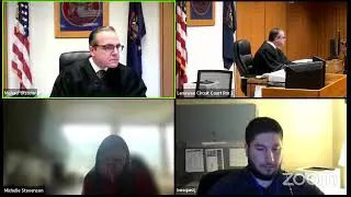Слушания по представлению доказательств в суде