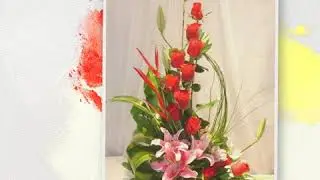 Santa Clara de Moda - Floristeria Eden Valladolid