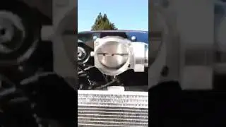 Bold sound of a supercharger singing #viral #viralvideo #youtubeshorts #fast #burnout #car