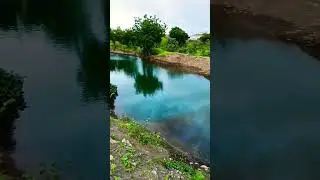 when u realise beauty of Nature SRTM University Nanded #mohitevijay #youtubeshorts #nature