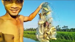 Cambodian Net Fishing Rainy Season Get more Fish / Khmer Fishing /Fishing Videos - PU MENG Fishing